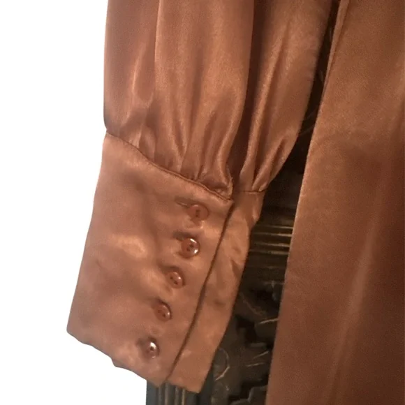 Long Sleeve V-Neck Satin Maxi Dress in Rust - Picture 7 of 8